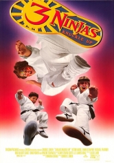 Tres Pequeños Ninjas 3 poster