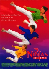 3 Ninjas Contraatacan (Tres Pequeños Ninjas 2) poster