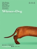 Wiener-Dog - 2016