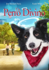Angel Dog (Un Perro Divino) poster