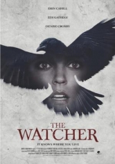 The Watcher (El Misterio De La Casa Del Cuervo) poster