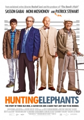 Hunting Elephants poster