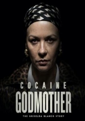 Cocaine Godmother poster