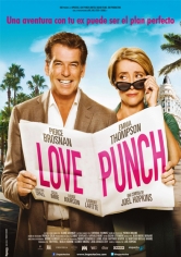 Love Punch poster