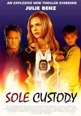 Sole Custody poster