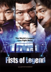 Fists Of Legend poster