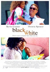 Black Or White poster
