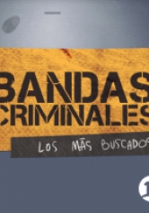 Bandas Criminales (Chile)