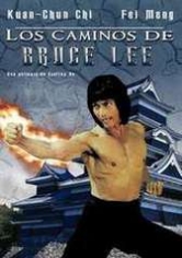 Los Caminos De Bruce Lee poster