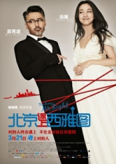 Finding Mr Right poster