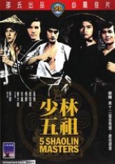 Los 5 Maestros De Shaolin poster