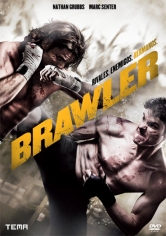 Brawler poster