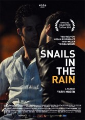 Snails In The Rain poster