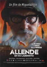 Allende En Su Laberinto poster