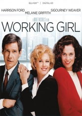 Working Girl (Secretaria Ejecutiva) poster