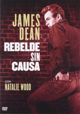 Rebel Without A Cause (Rebelde Sin Causa) poster