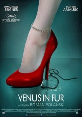 La Vénus A La Fourrure poster