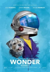 Wonder (Extraordinario) poster