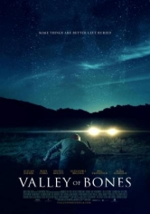 Valley Of Bones poster