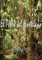 El Perro Del Hortelano poster
