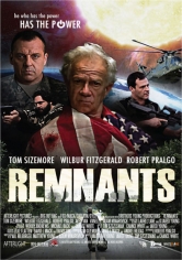 Remnants poster
