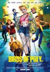 Birds Of Prey (Aves De Presa) poster