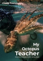 My Octopus Teacher (Mi Maestro El Pulpo) poster
