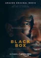 Black Box (La Caja Negra) poster