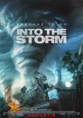 Into The Storm (En El Ojo De La Tormenta) poster