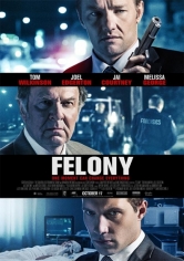 Felony (El Rastro Del Delito) poster
