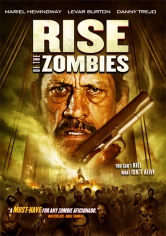Rise Of The Zombies poster