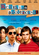 Youth In Revolt poster