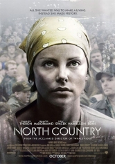 North Country (Tierra Fría) poster