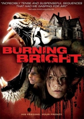Burning Bright (Atrapada) poster