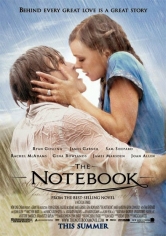 The Notebook (Diario De Una Pasión) poster