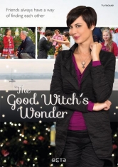 The Good Witch’s Wonder poster