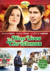 The Nine Lives Of Christmas (Un Amor Con Siete Vidas) poster