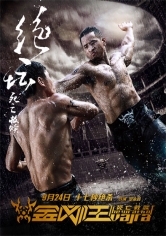 Jin Gang Wang (The Wrath Of Vajra) poster
