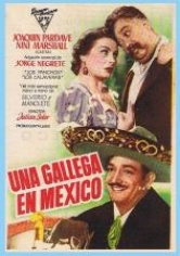 Una Gallega En México poster